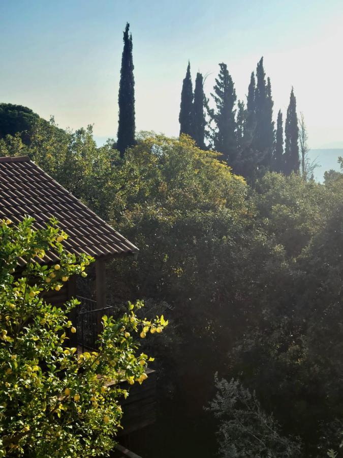 Roof Of The Galilee Amirim Exterior foto